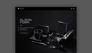 Olson Form Intro Image Kitchen Sink